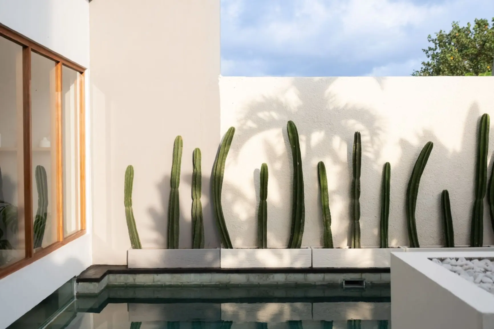2-Bedroom Villa in Prime Berawa — image 3