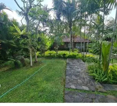 DO 90 - Villa For Sale in Nyanyi Tabanan Bali — image 4