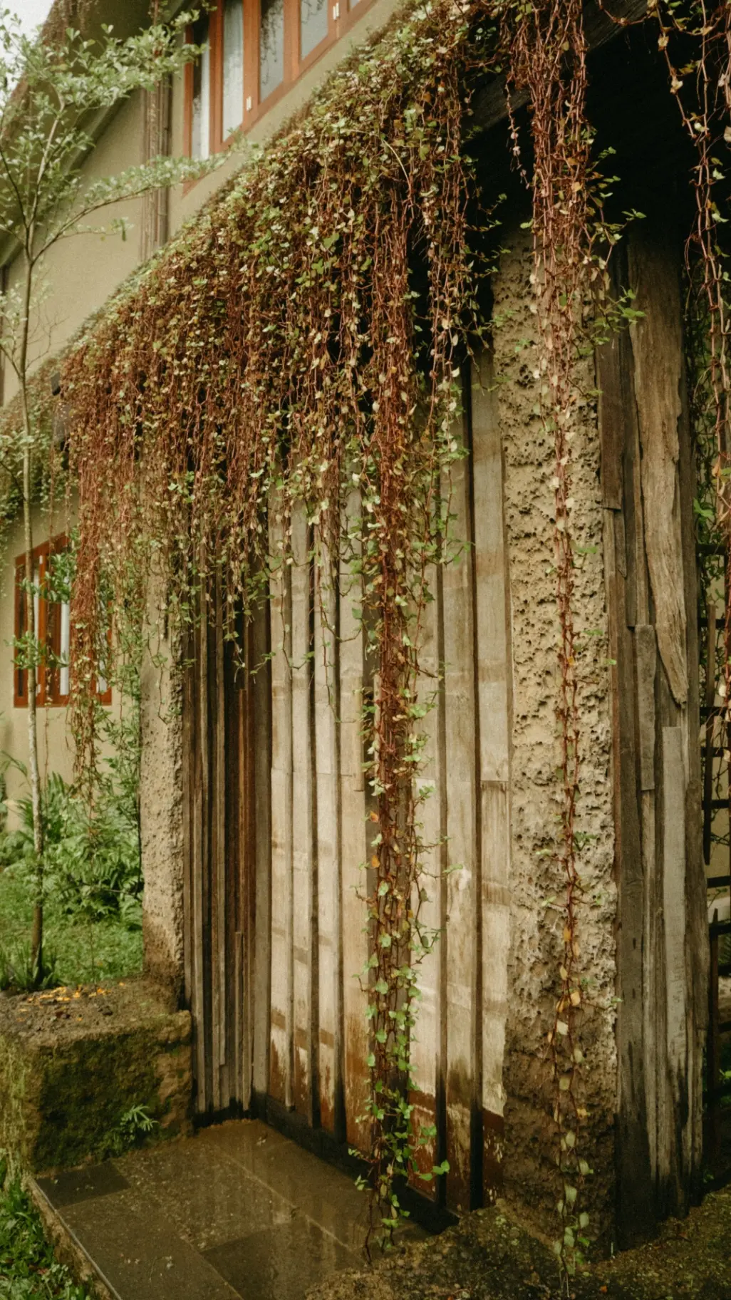 ELFOREST Boutique Residential Sanctuary — image 4