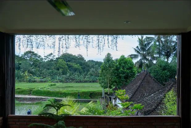 ELFOREST Boutique Residential Sanctuary — image 3