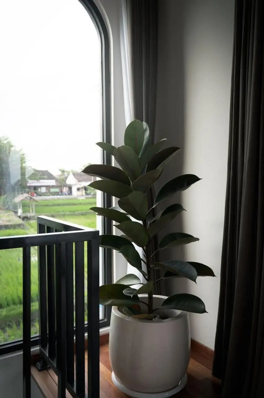 Villa For Rent 1 Bed In Padonan Canggu Bali PR-3691 — image 3