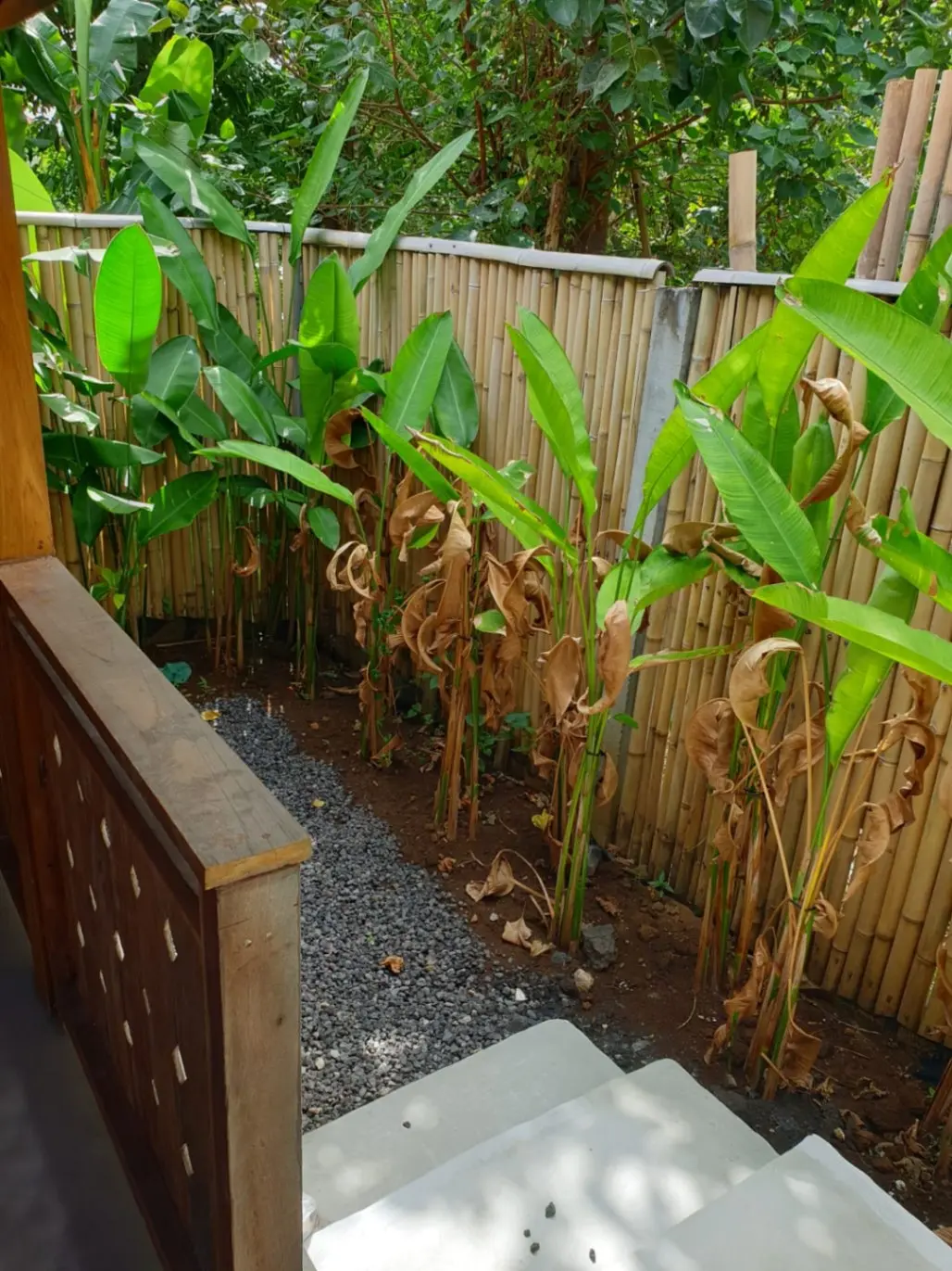Rustic 1 Bedroom | Umalas — image 4