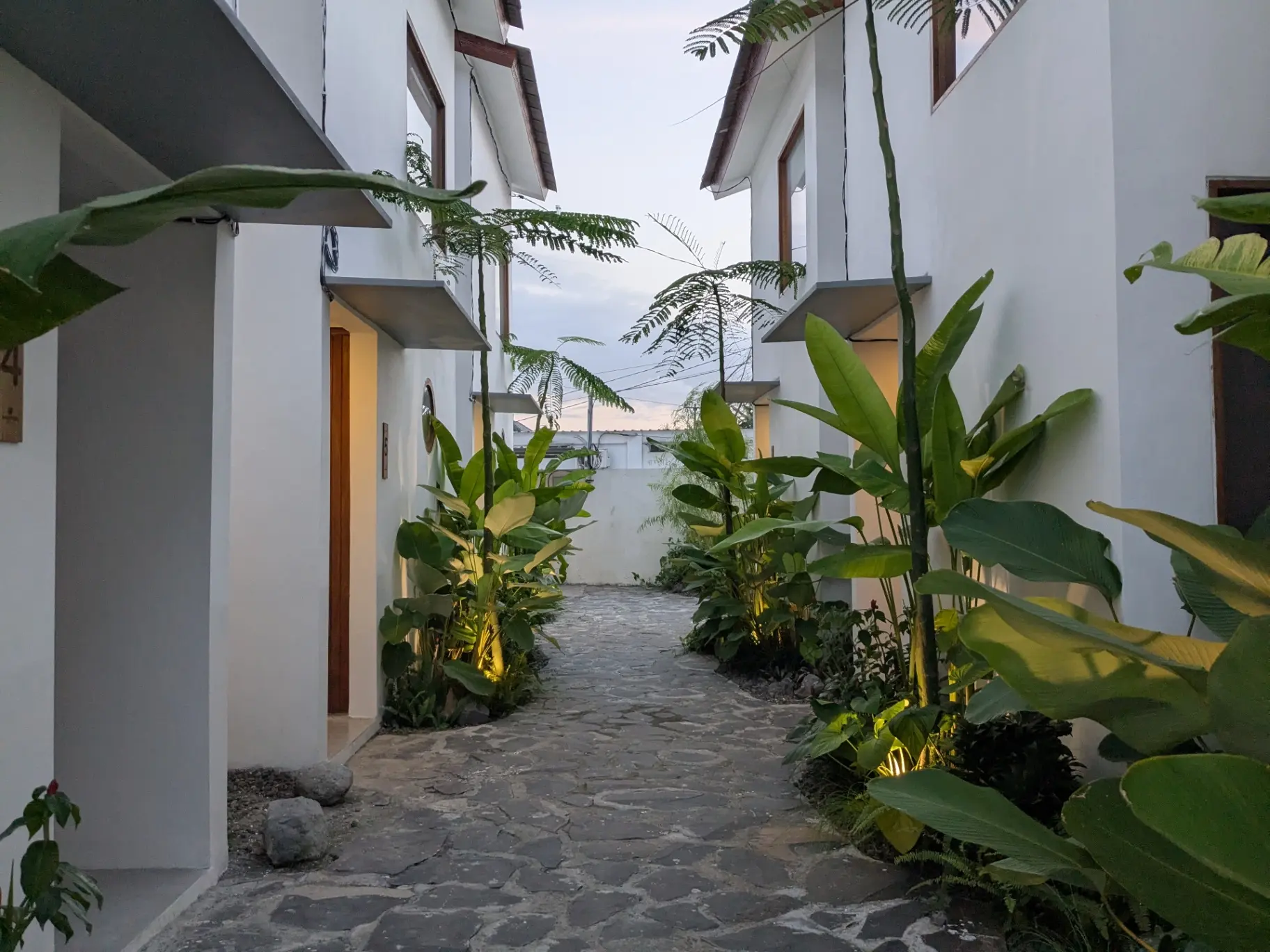 (Standard) Brand New Studio Apartments in Prime Canggu! (Oct 2025~)