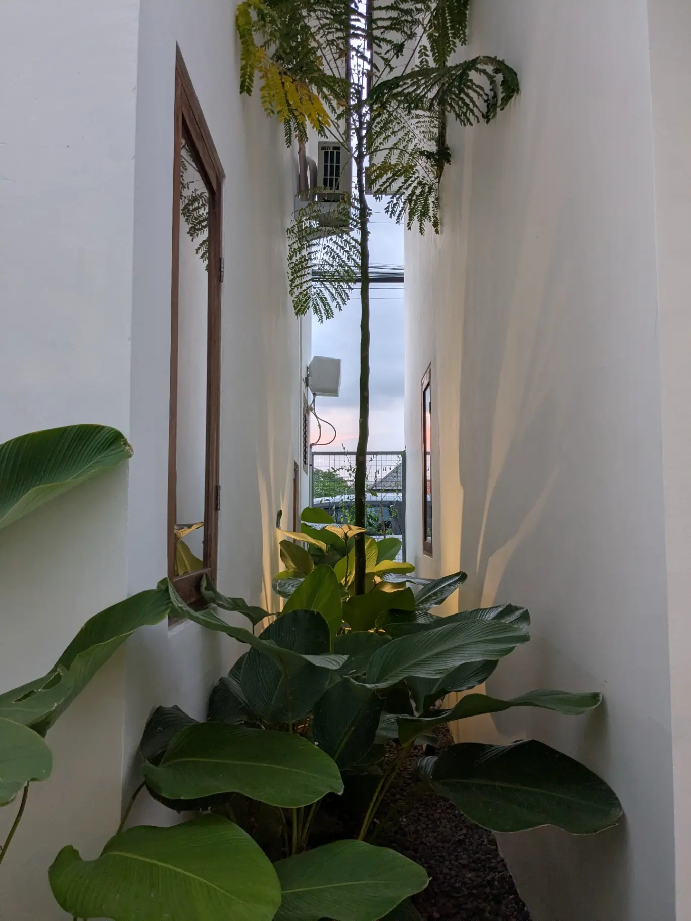 (Avail. February 2026~)Brand New Studio Apartments in Prime Canggu! — image 3