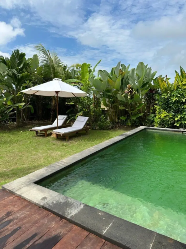 Designer 2-Bedroom Villa with Pool and Garden in Kemenuh Ubud — image 4