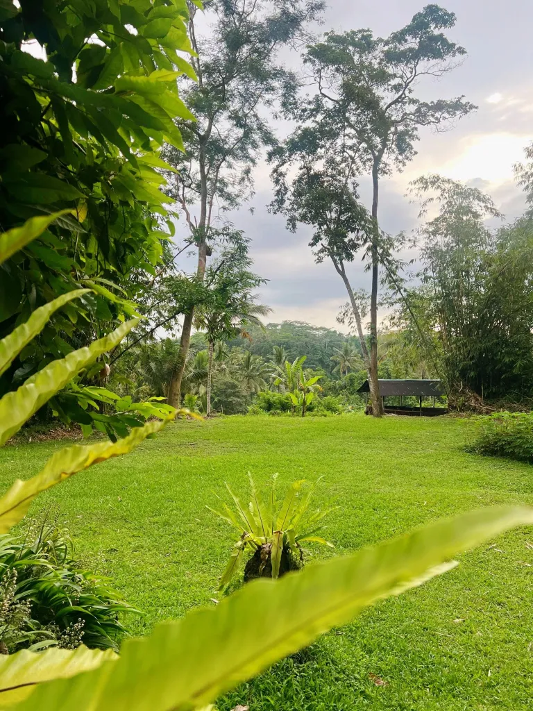 Kadek house