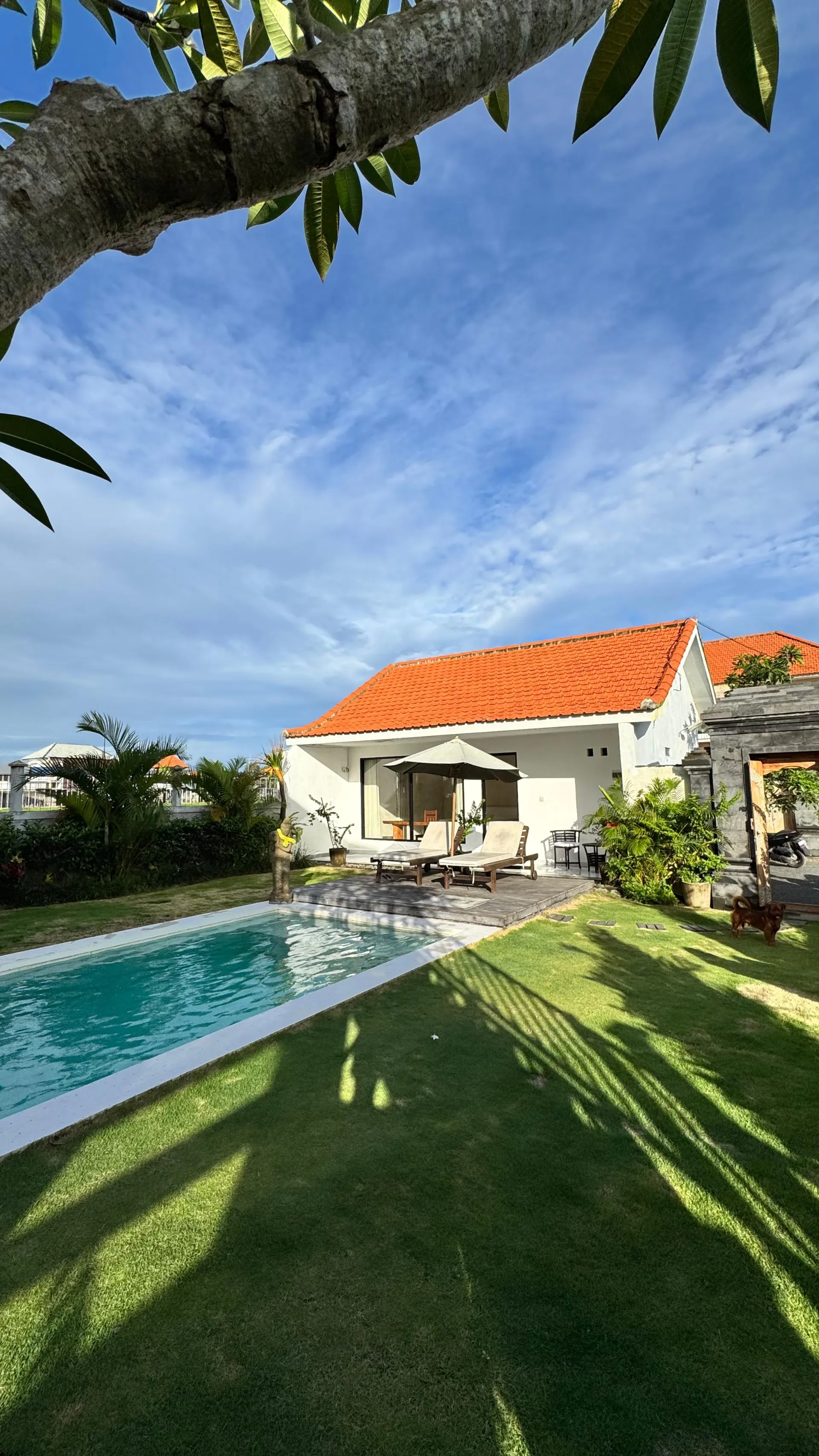 3BR with Big Garden and rice field view near Seseh Pererenan — image 4