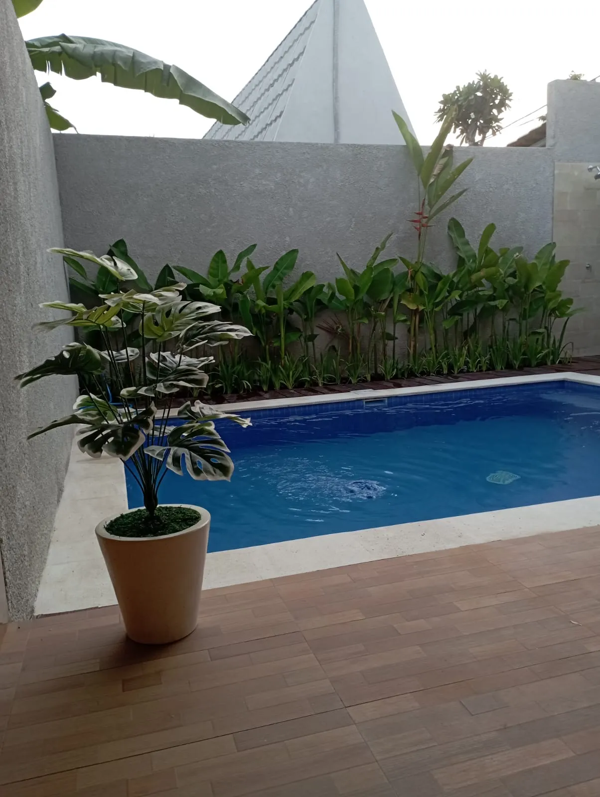 For rent 2 bedrooms villa located in Pererenan available for yearly rental