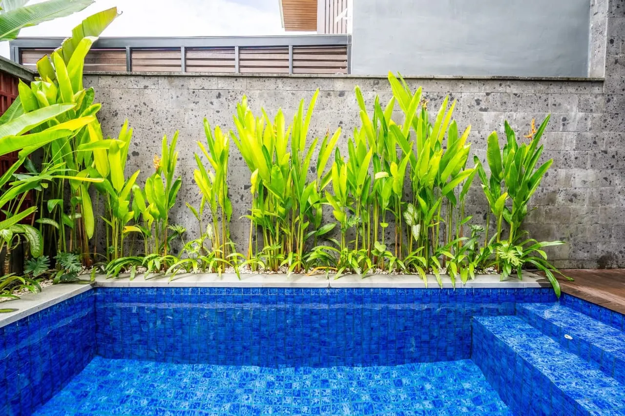 C3 Bedrooms Canggu Villa for Monthly and Yearly Rent