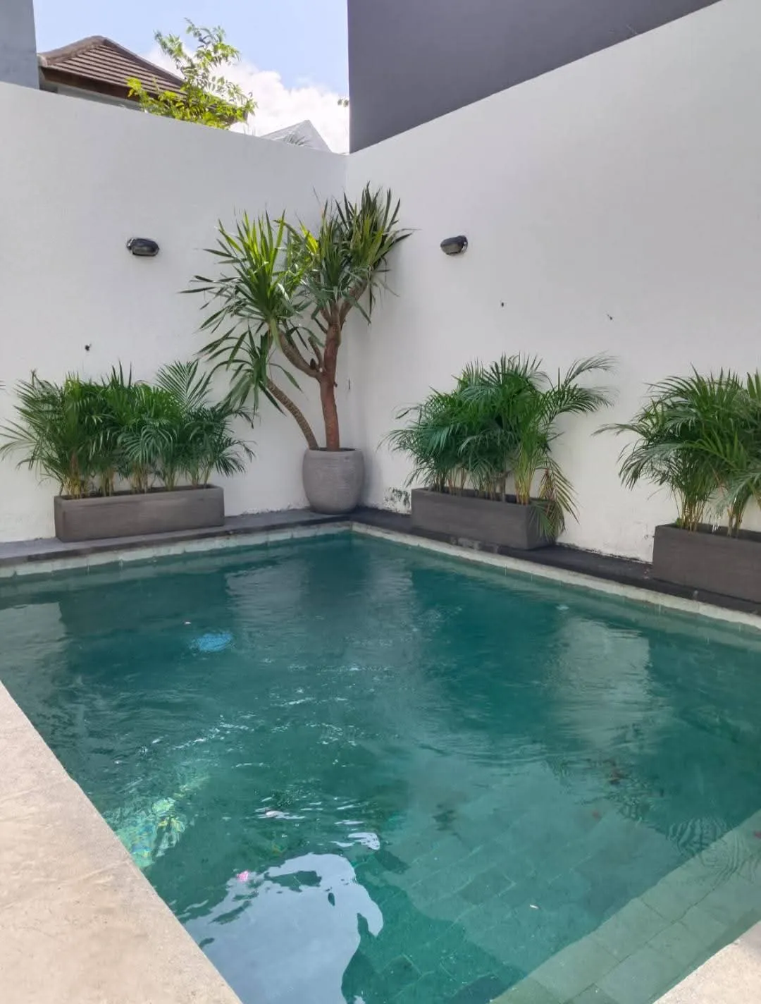 AN 071- FOR RENT VILLA MINIMALISH IN KUTUH
