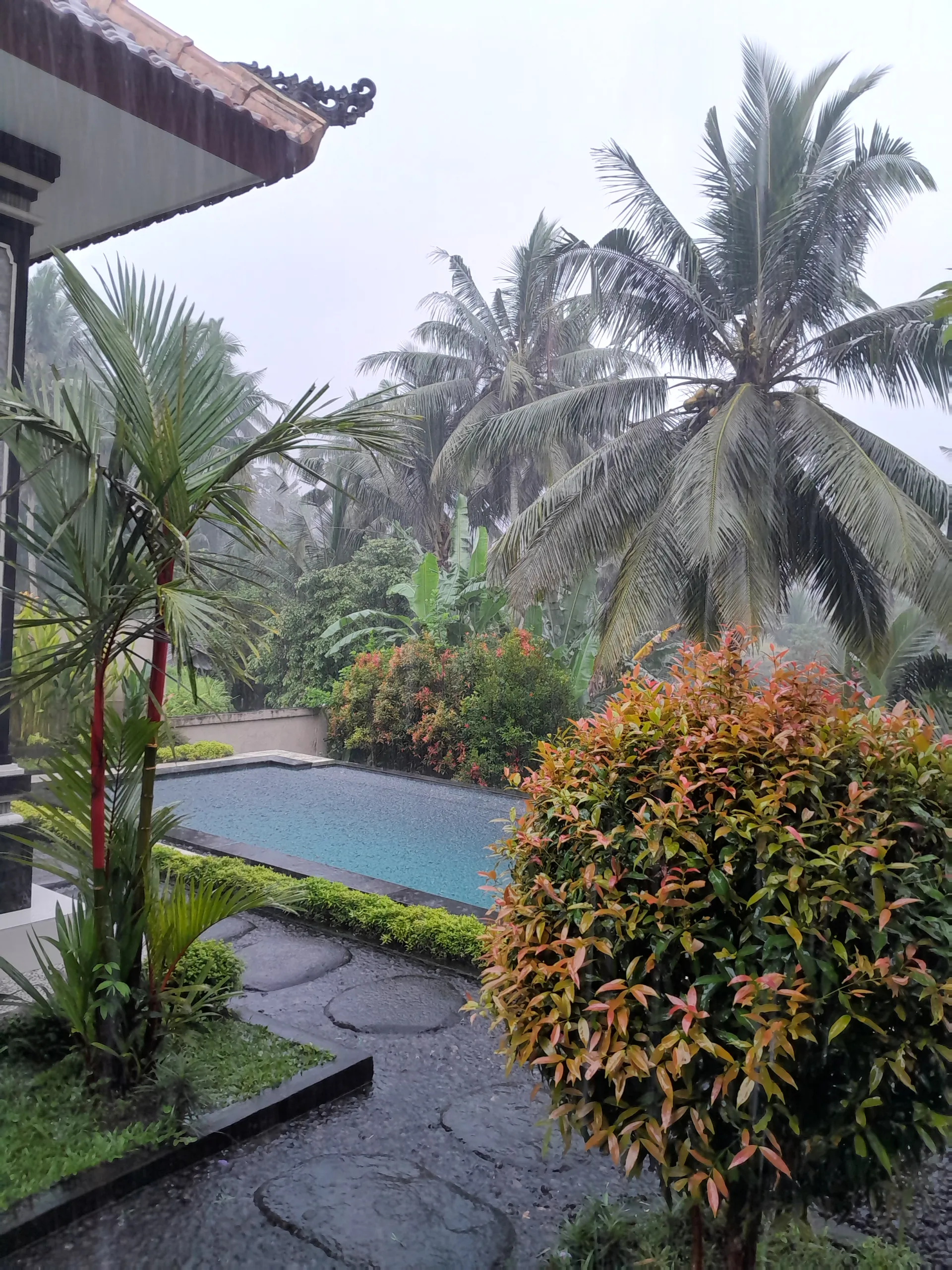 Natural place — image 4