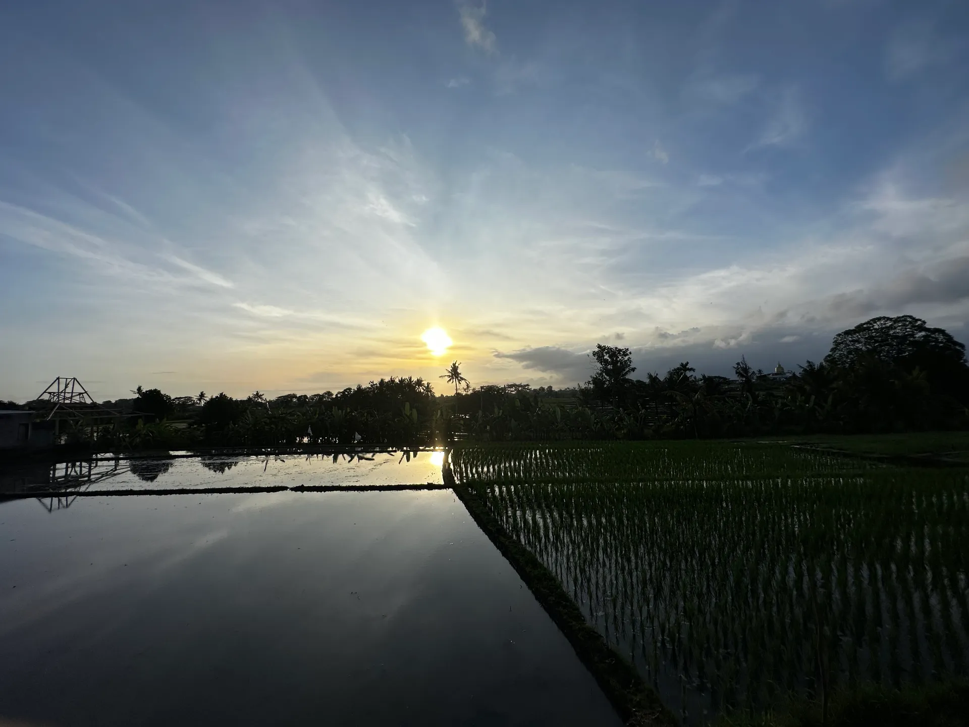 Lyma Villa - Brand New (3PR2) — image 1