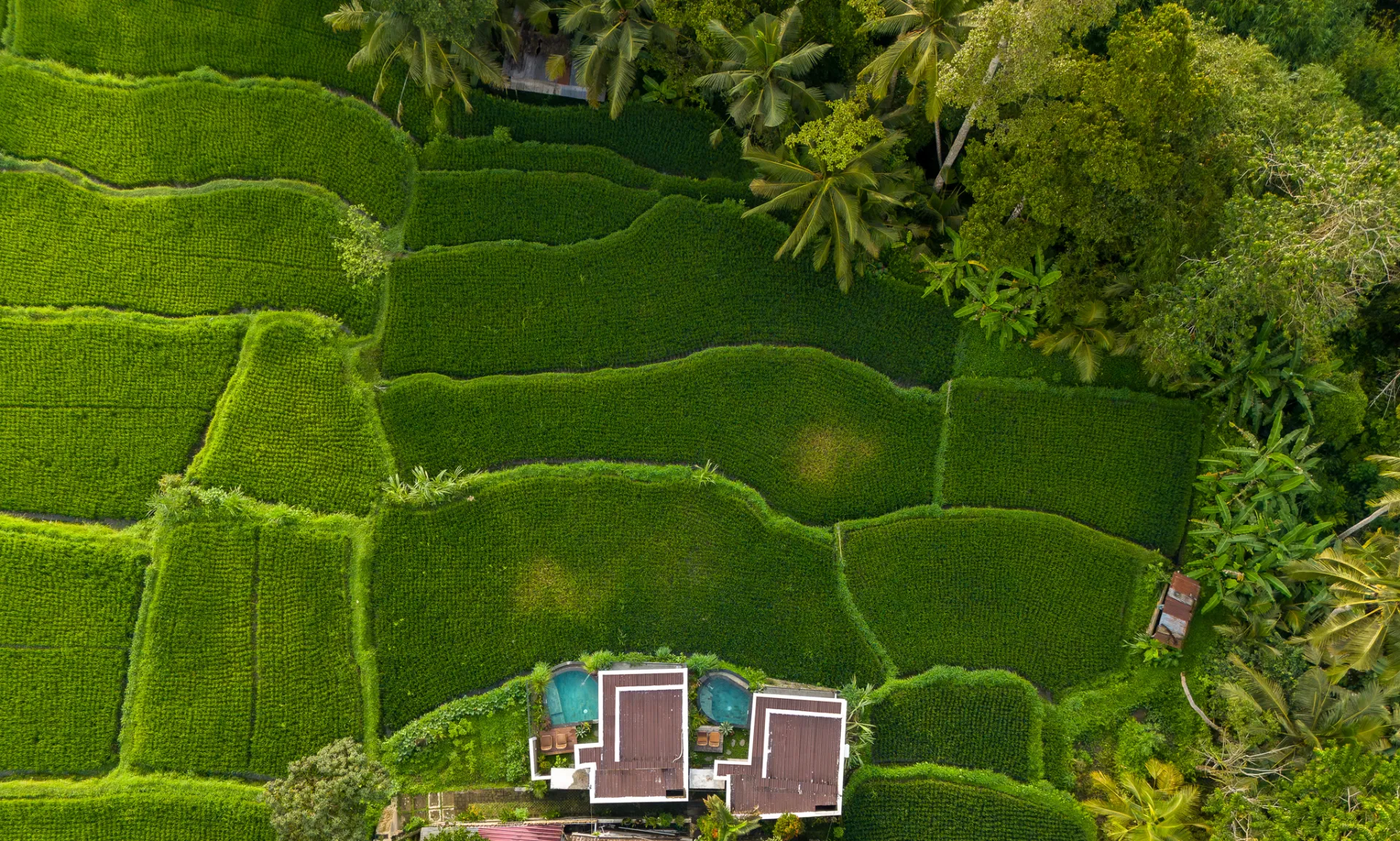 House with Ricefield View — image 4