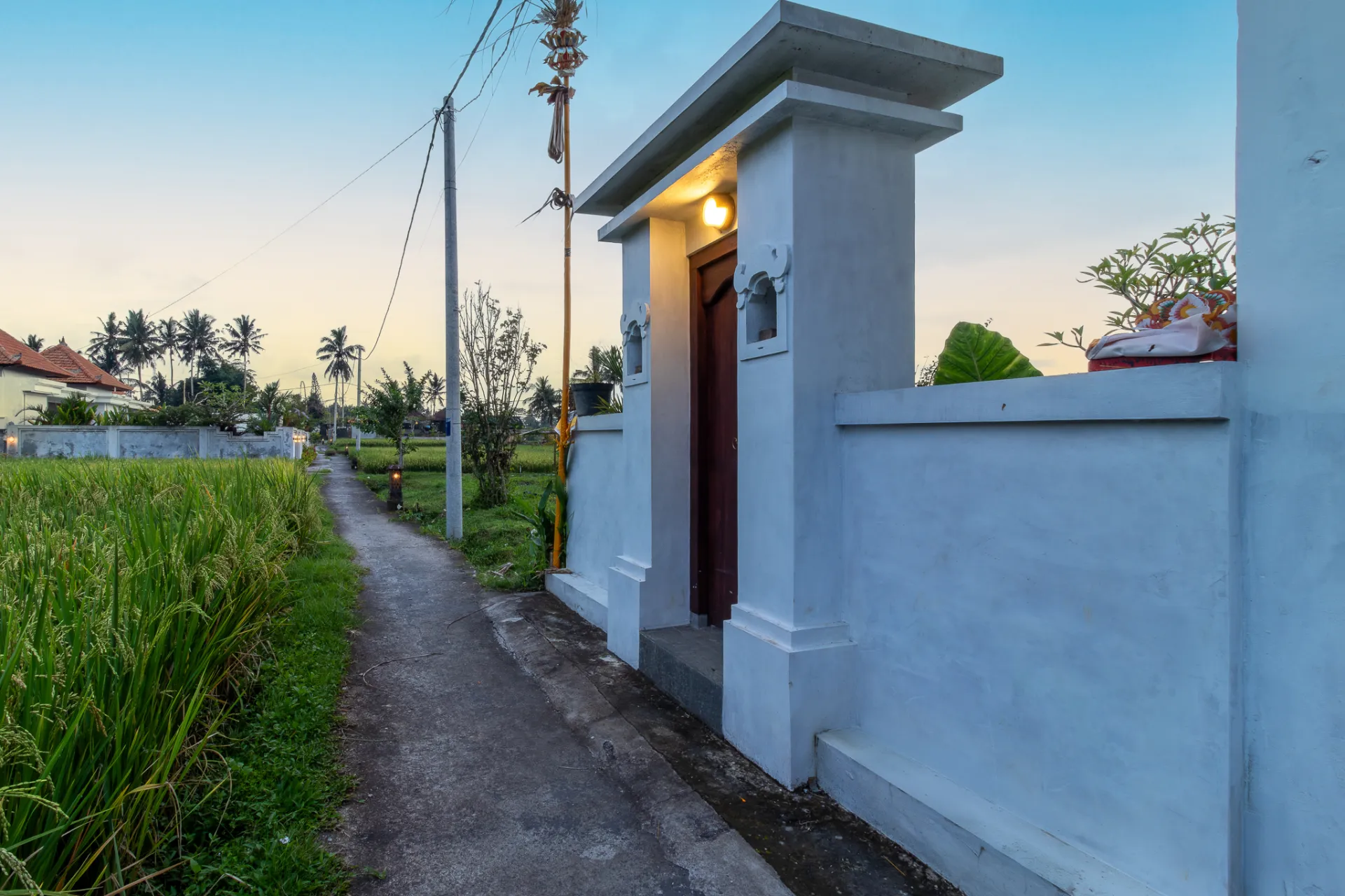 House with spacious backyard and ricefield view — image 1