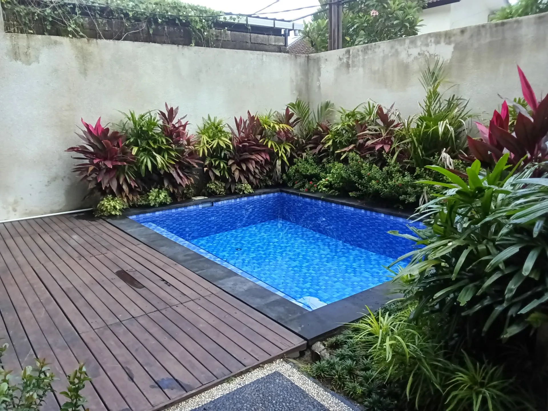 3 BEDROOM VILLA IN PADONAN IDR 170 MILL/YEAR — image 1
