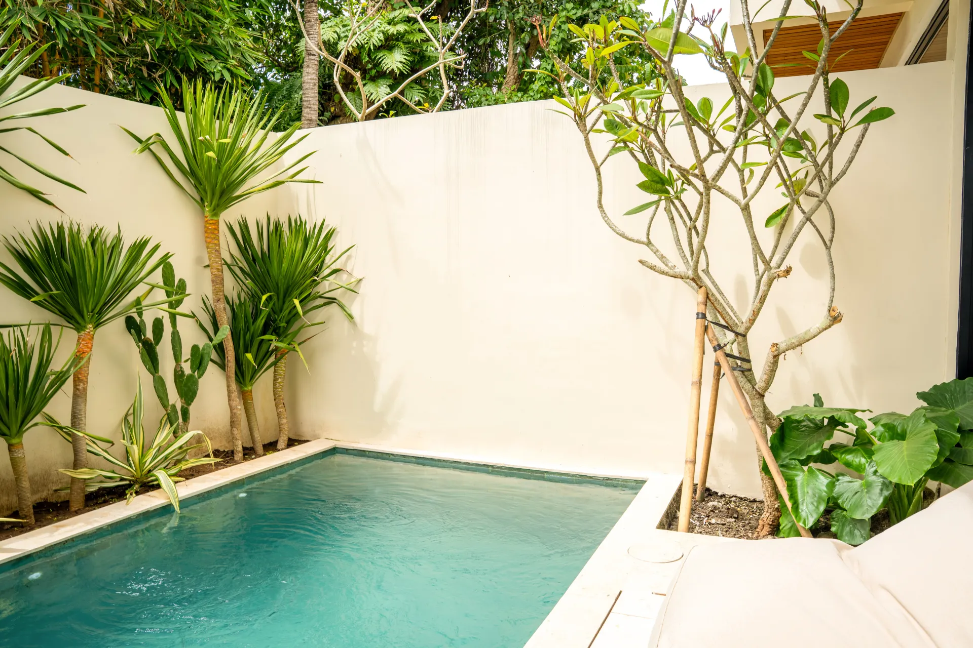 Calm Design-Led 1BR Villa in Pererenan — image 2