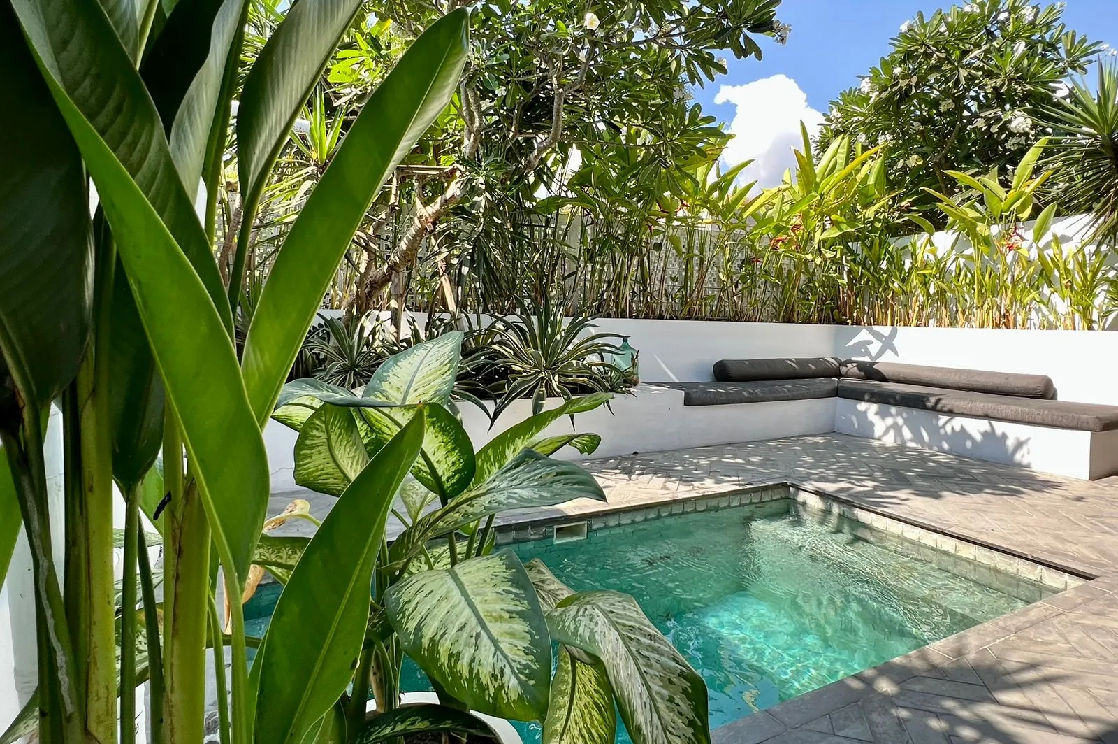 Pererenan 1 bedroom villa — image 1