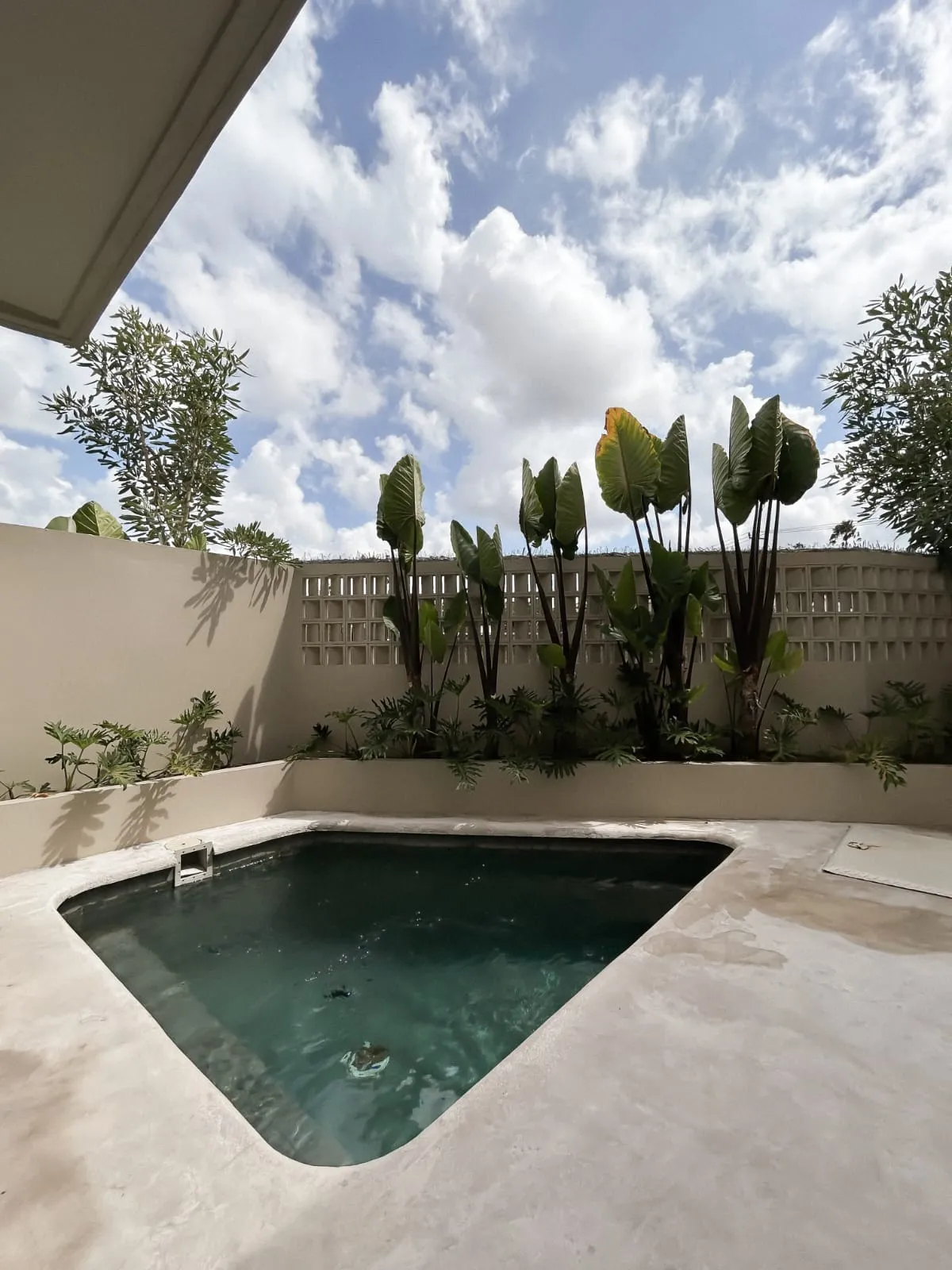 New Modern 1BR Villa with Private Pool – Padonan Canggu — image 3