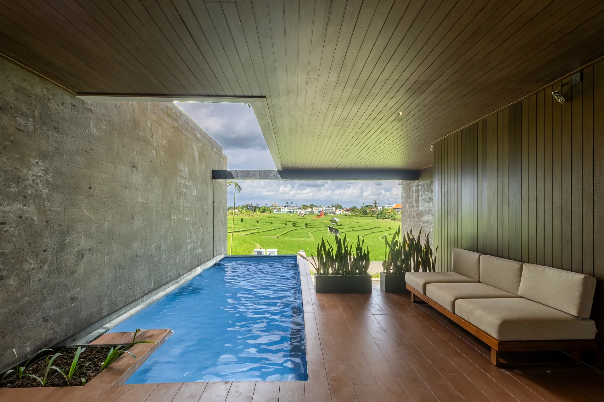Madison - 180° Paddy View 3BR Canggu | Pool & Paddy View — image 2