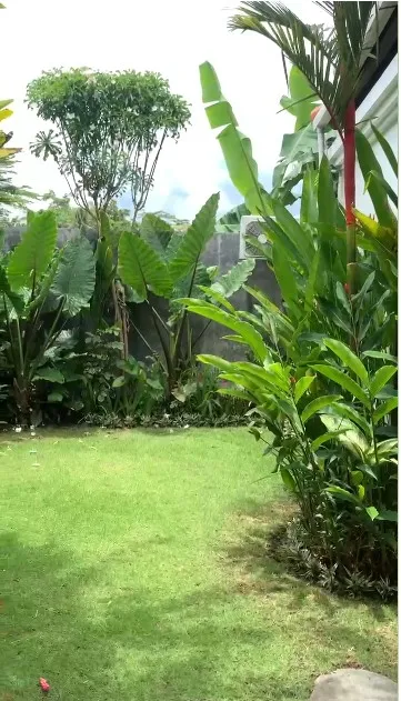 3 Bedroom Open Sublease in Cemagi Pet-Friendly Villa with Garden Near Beach — image 2
