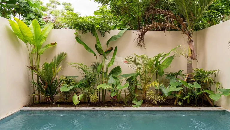 Villa For Rent 1 Bed In Buduk Mengwi Badung Bali PR-3860 — image 1
