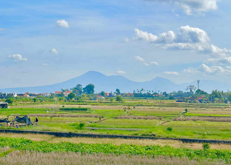 Villa 1BR Cemagi-Seseh with Ricefield & Mountain view (5 minutes to the beach) — image 4