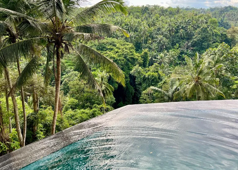 1BR Modern Villa w/ Panoramic Valley & Ayung River Views — image 2