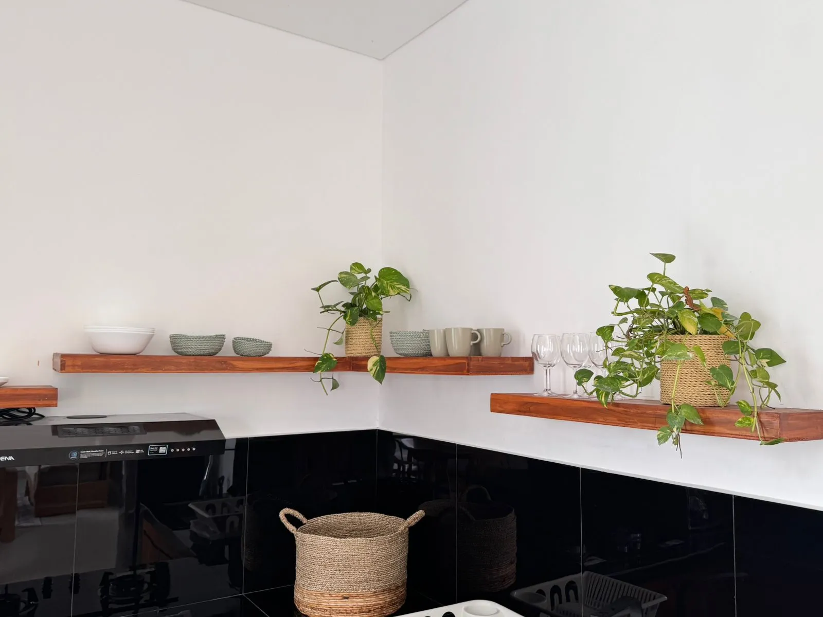 #2073 Villa in Canggu Seseh🏝 — image 1