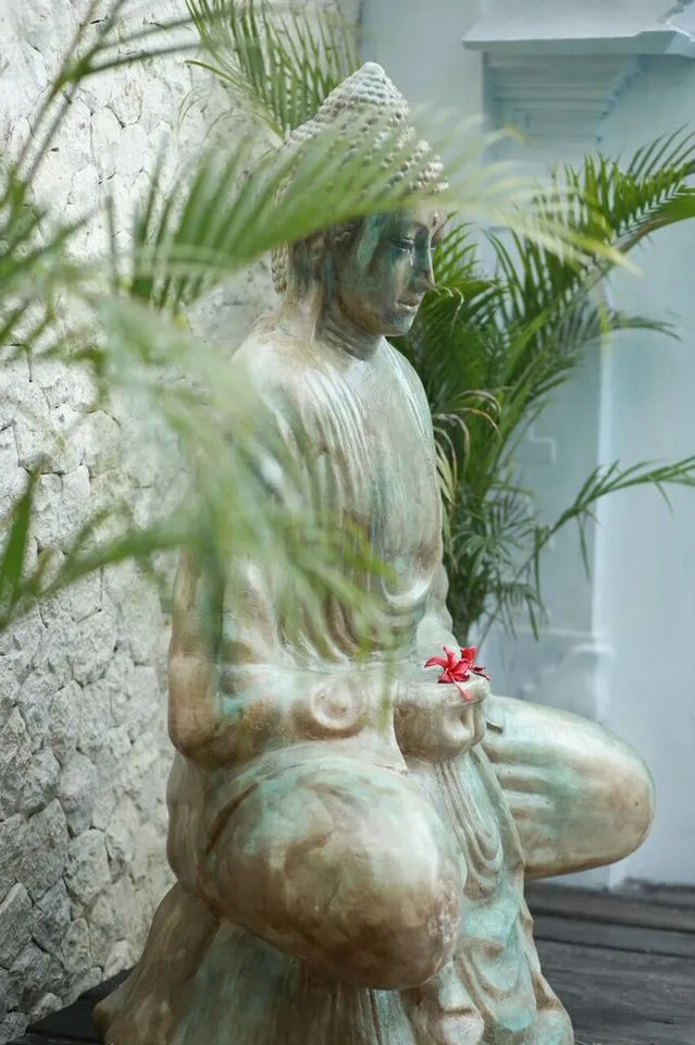 Batu Belig Canggu Villa - Best Value Walk to Beach & cafe del mar 3BR 26 mil p/m — image 3