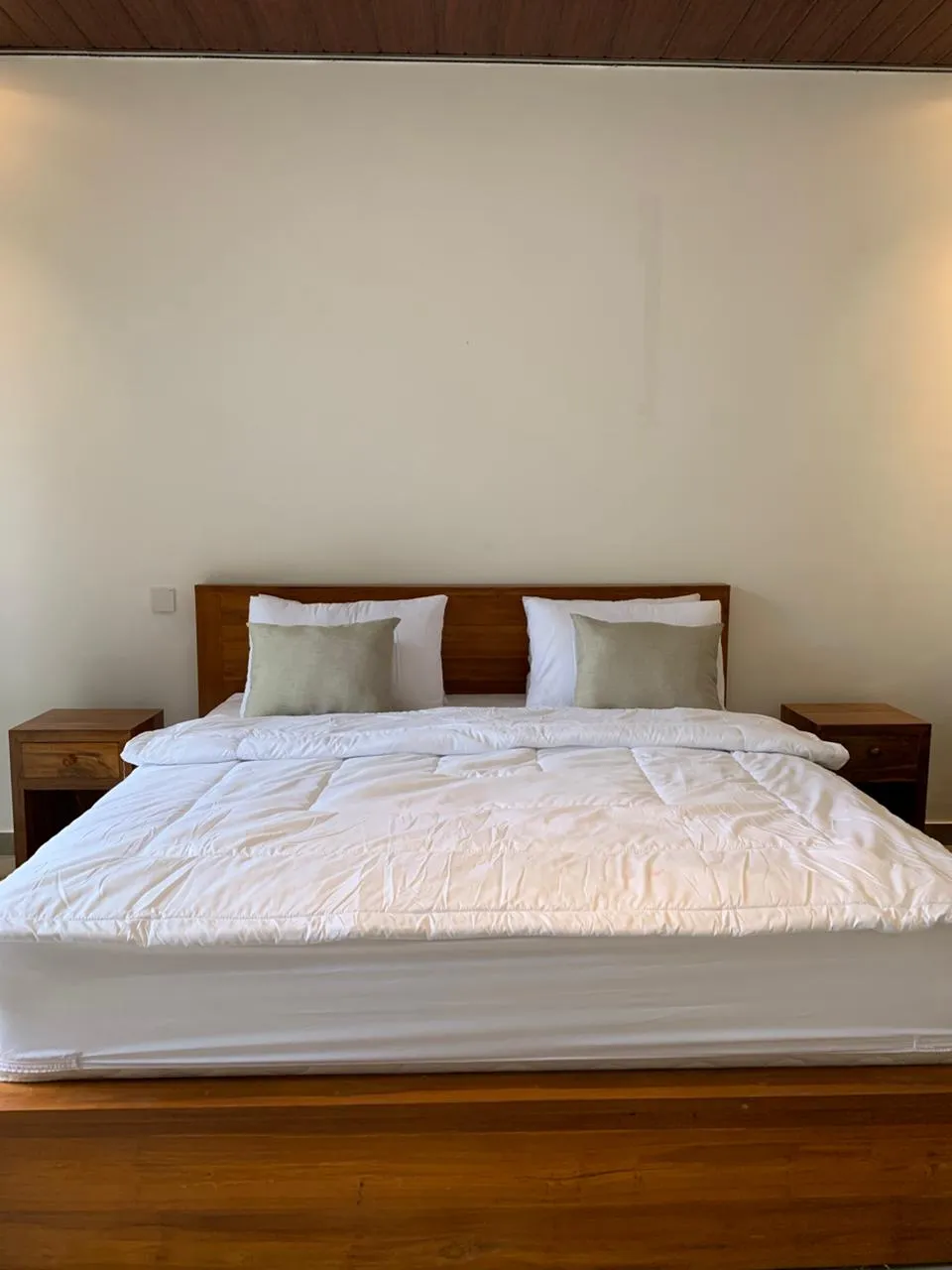 Villa for Rent Canggu