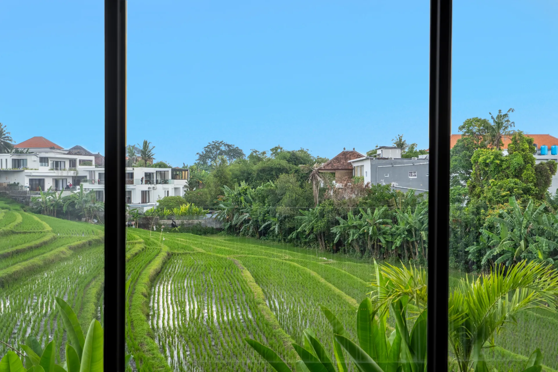 Exhale - 1BR Canggu Loft | Pool & Serene Paddy Views — image 3