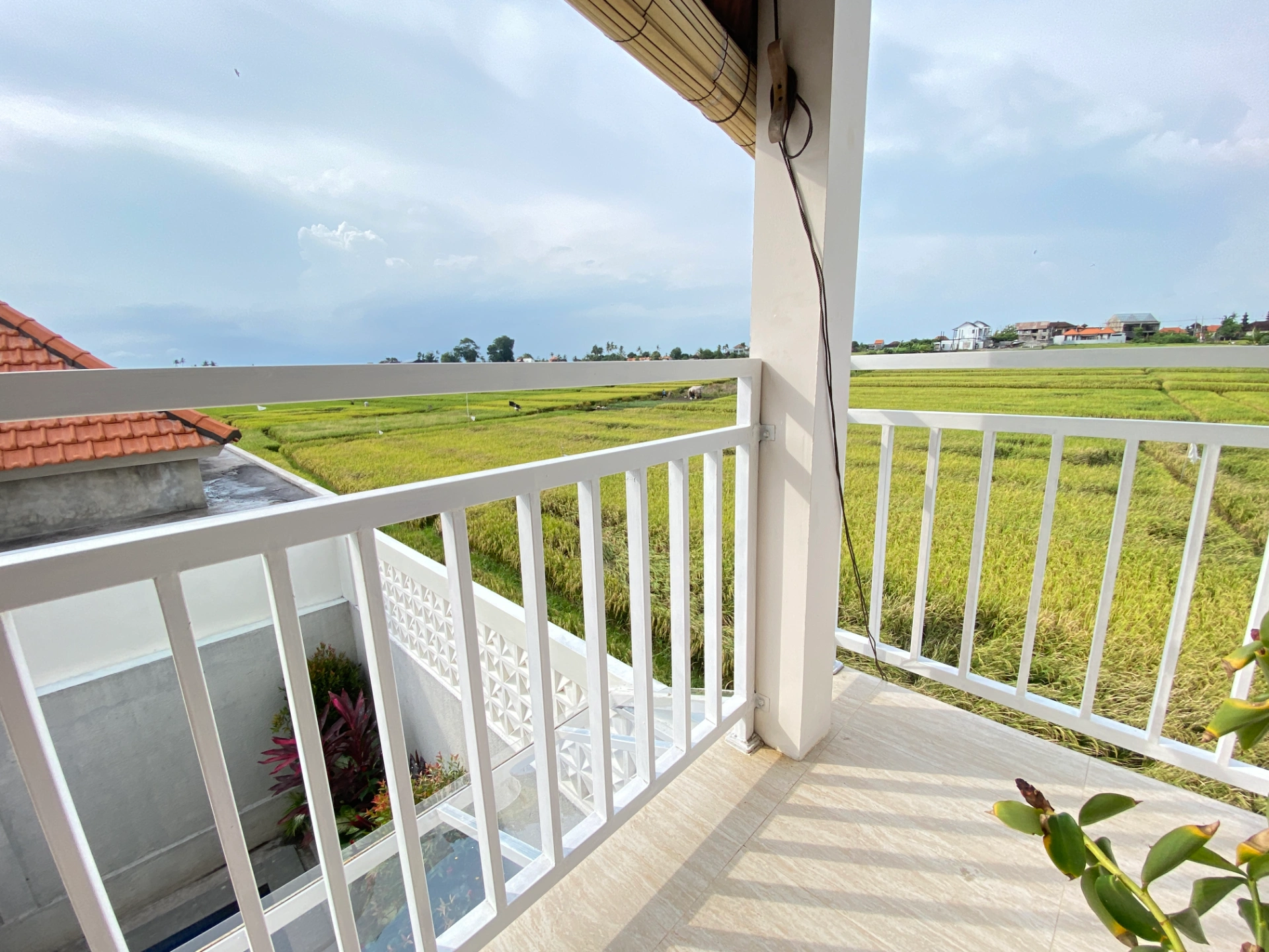 3BR - Cemagi - Surrounded by ricefield! — image 2