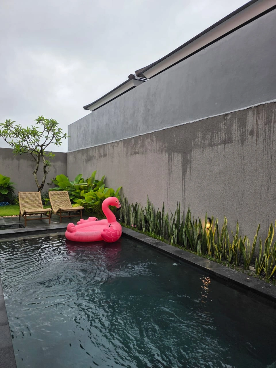 DO 496 - For Rent Villa Tropical Modern Located at Umalas — image 2