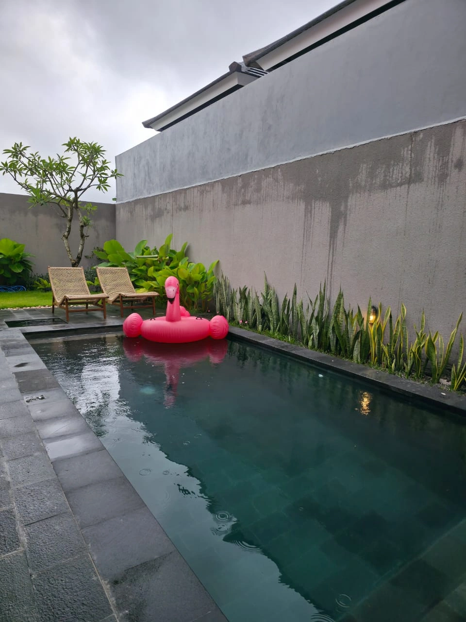 DO 496 - For Rent Villa Tropical Modern Located at Umalas