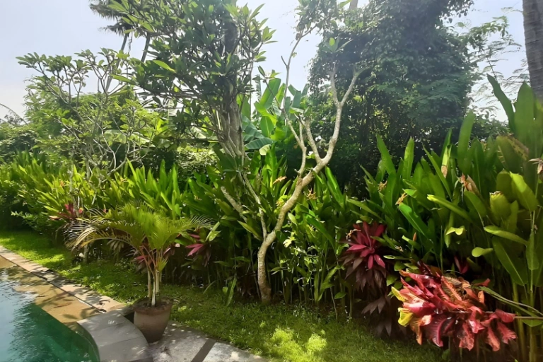 5BR Pet-friendly Villa in Pererenan — image 4