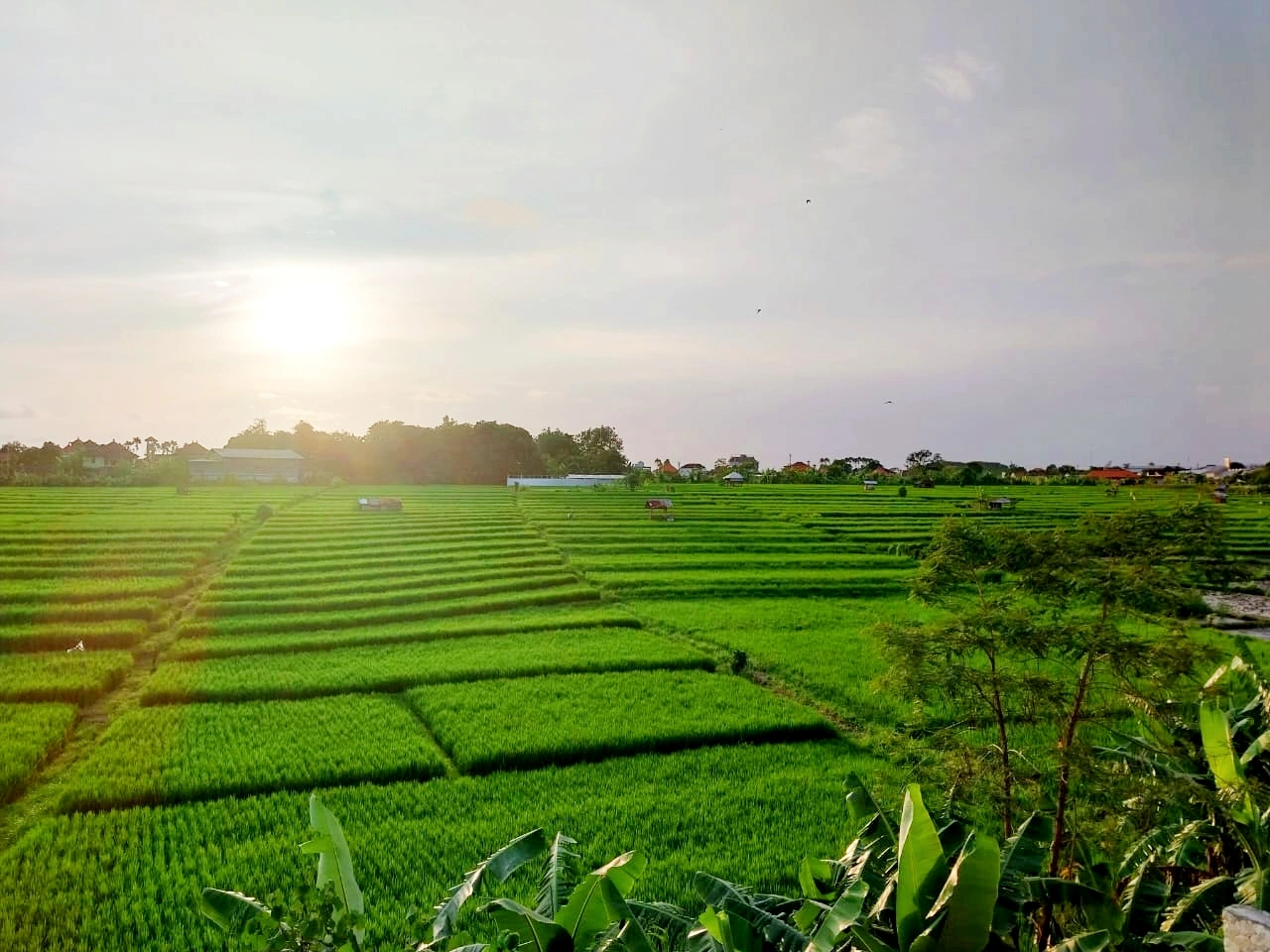 Rice Field View Pool Villa - Canggu / Seminyak - D2 — image 1