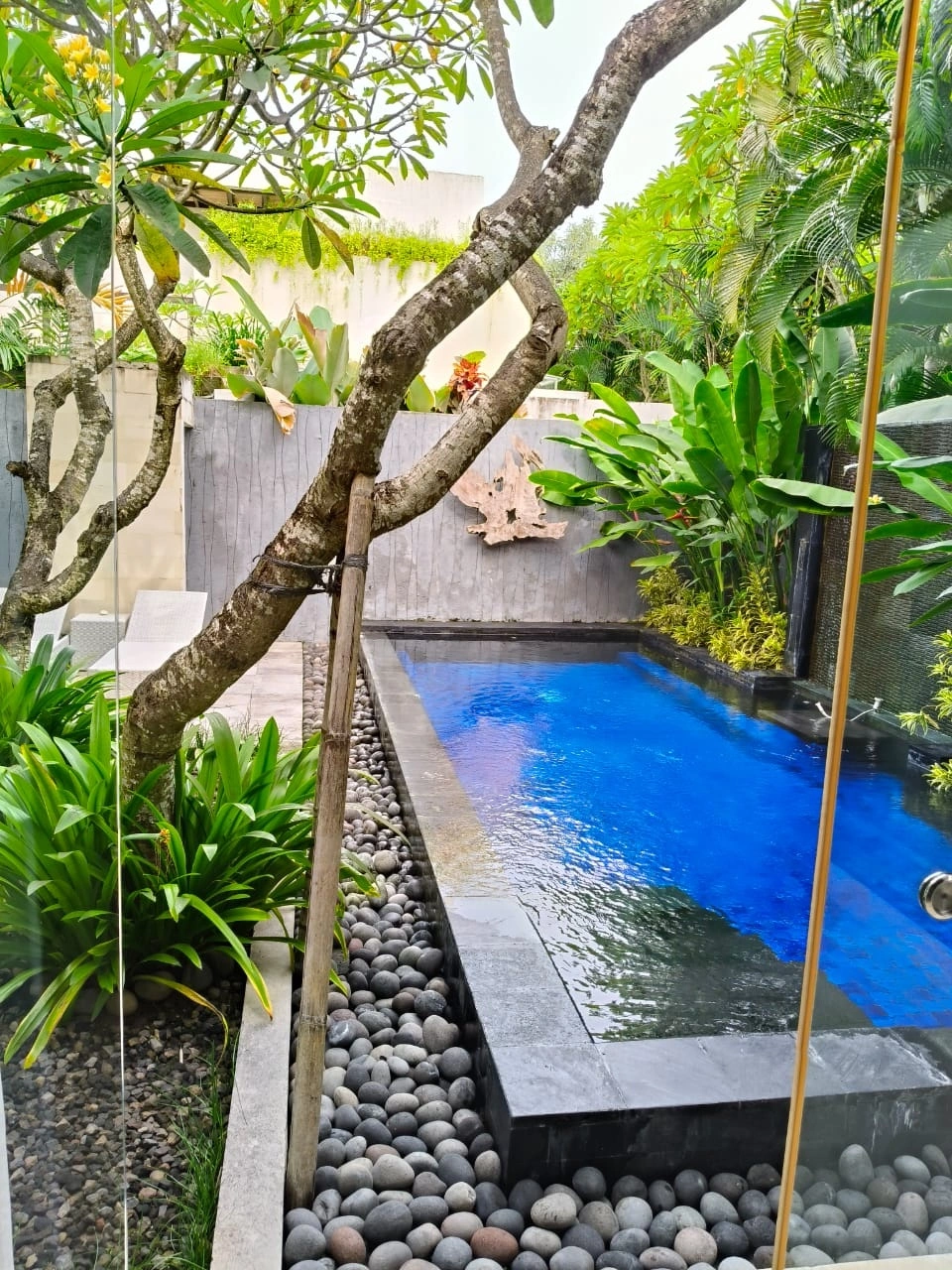 Villa For Rent 2 Bed In Kedonganan Jimbaran Bali KD-4085