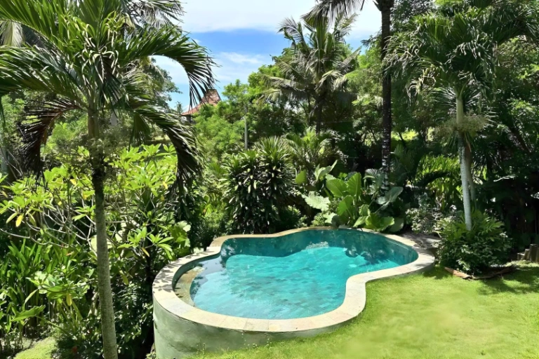 Near Beach - 1BR Tree-House Style Villa