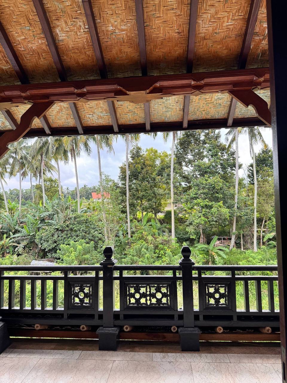 2 level Villa jungle cliff view — image 4
