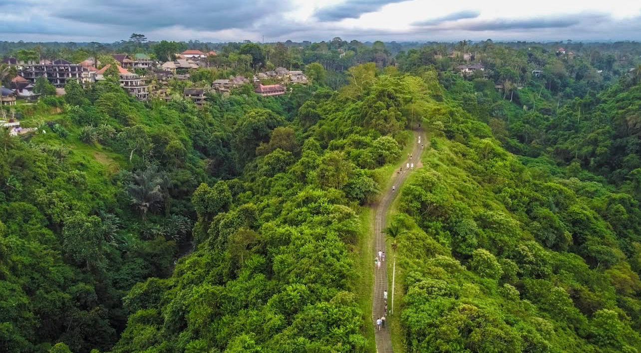 Artist House jungle cliff view — image 3