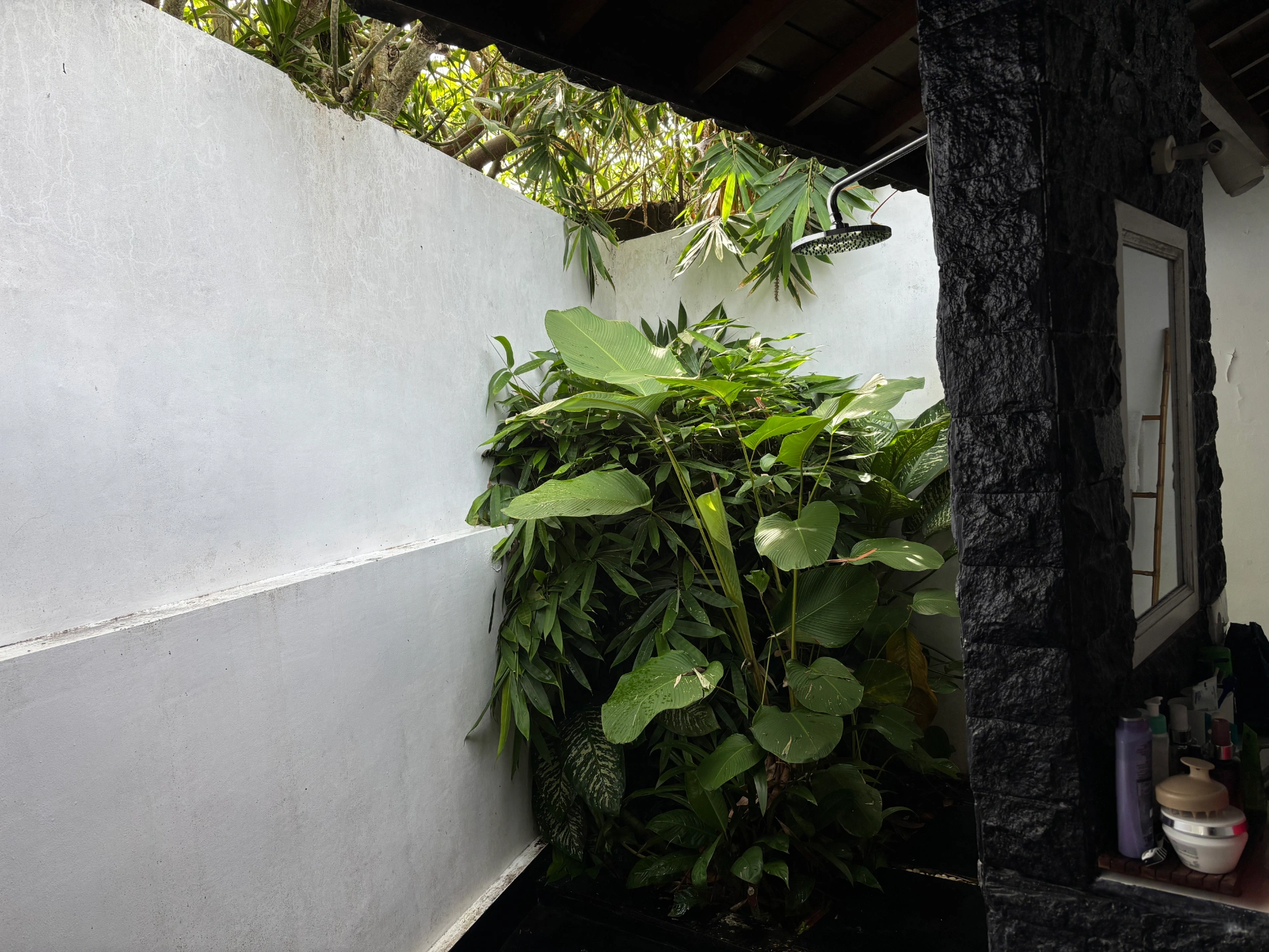 Room in Pererenan — image 4
