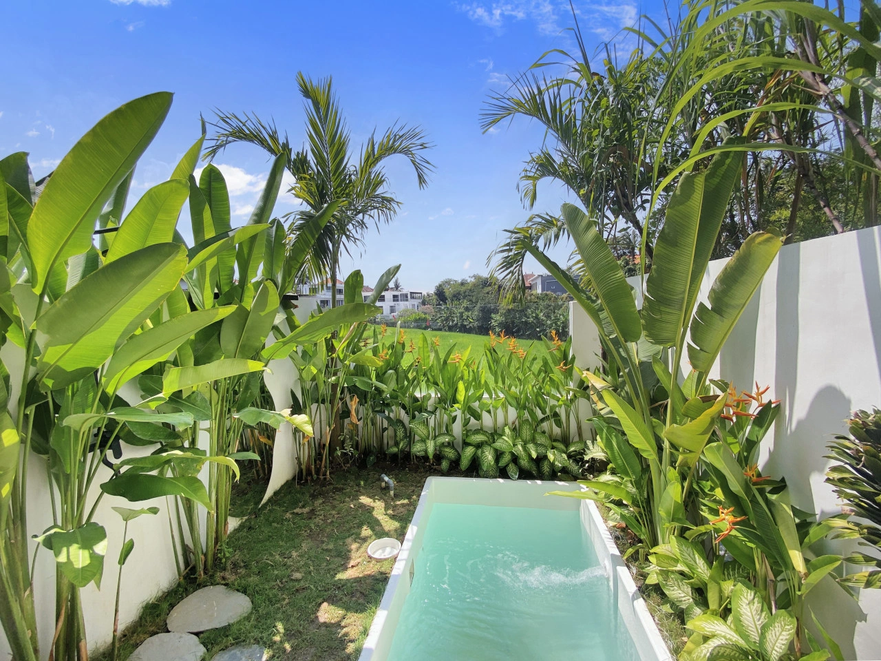Ricefield View In Canggu — image 1