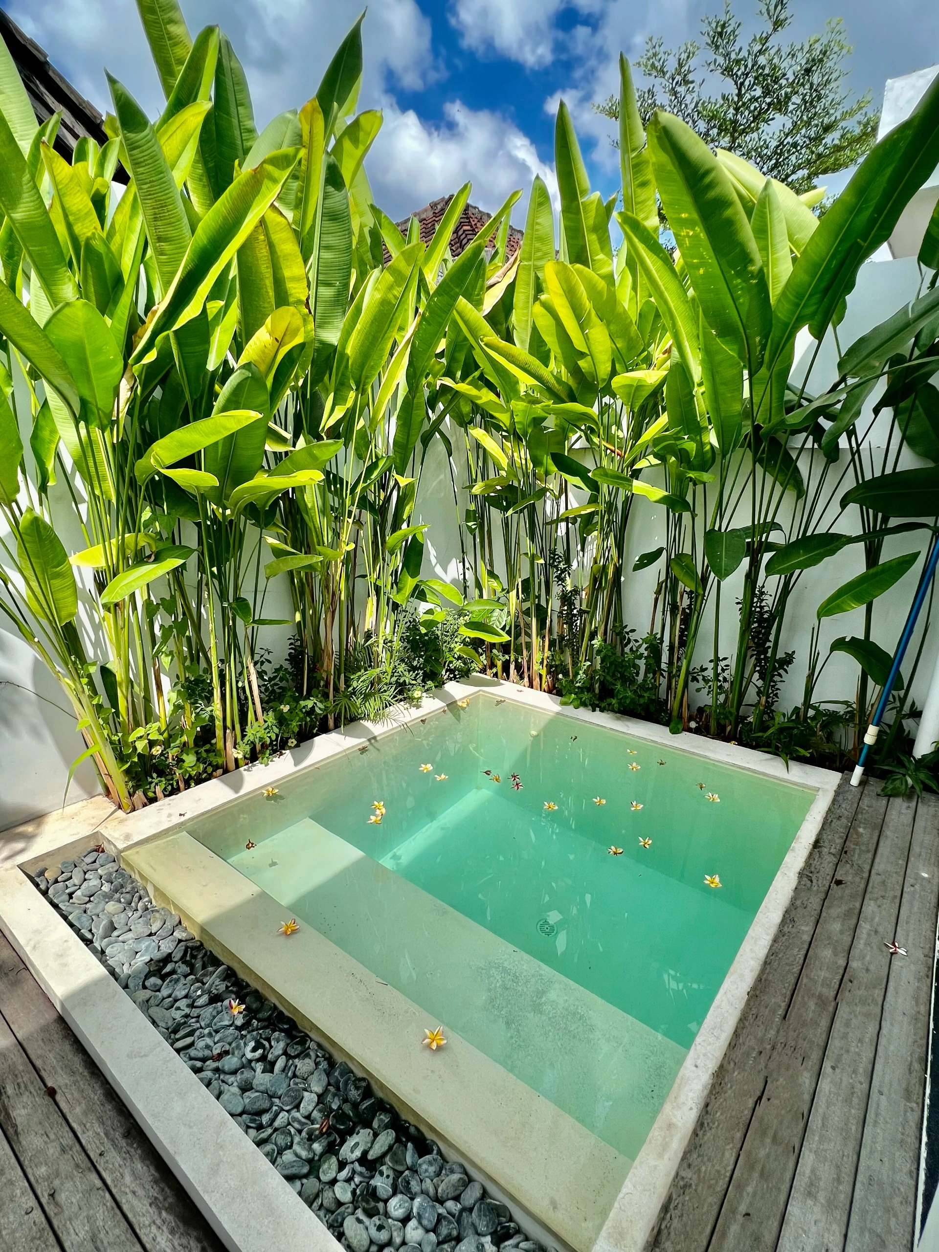 Cosy Modern Home in Canggu — image 4