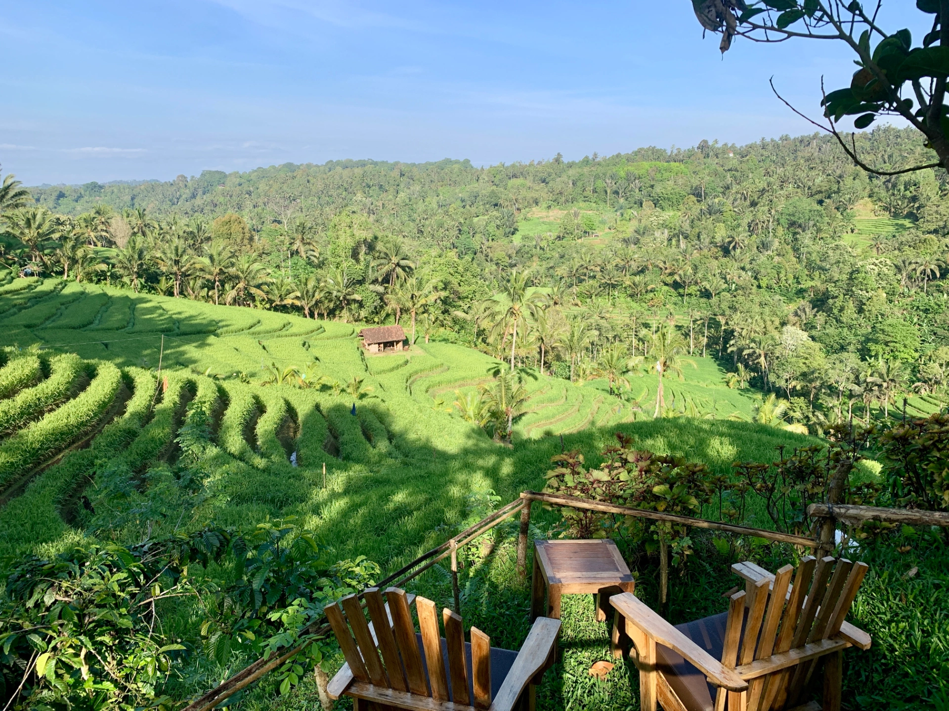 Secluded Wooden Cabin Overlooking Rice Terraces