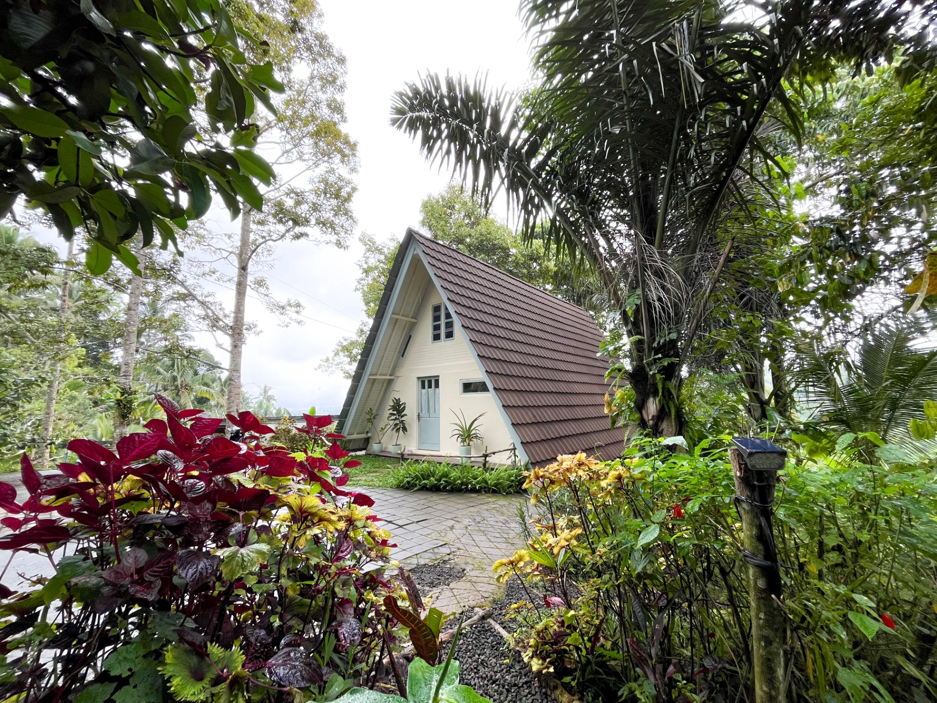 Mountain Cabins With Stunning Rice Paddies View