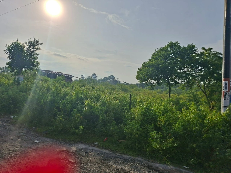 Empty Land for Sale Jimbaran