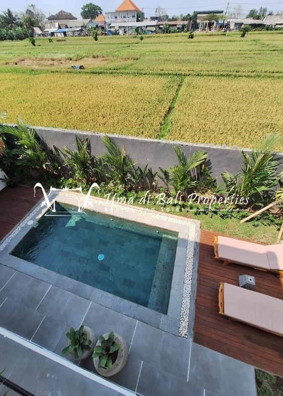 3BR VILLA FOR RENT AT SESEH | IT 663 — image 3