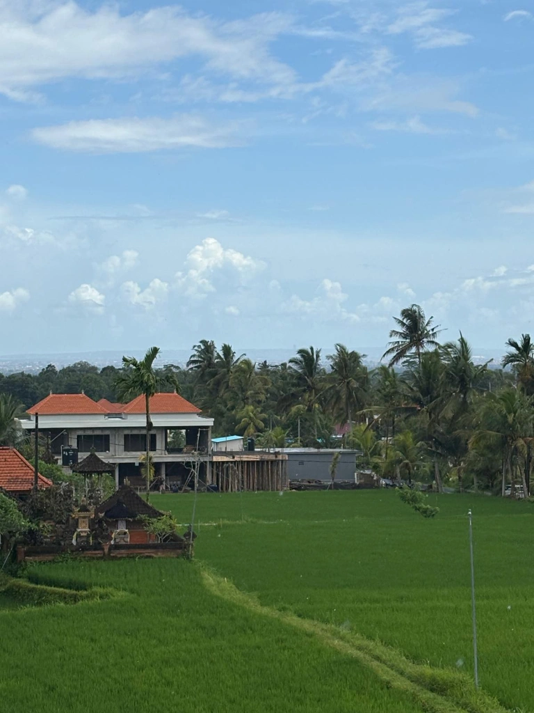 4-bedroom rooftop villa with pool and 360° rice field view — image 2
