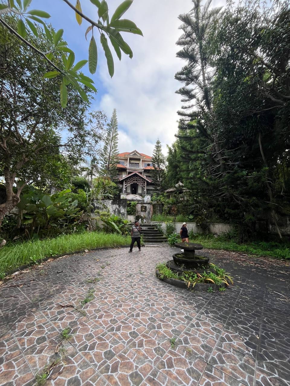 Luxury villa for renovation — image 1