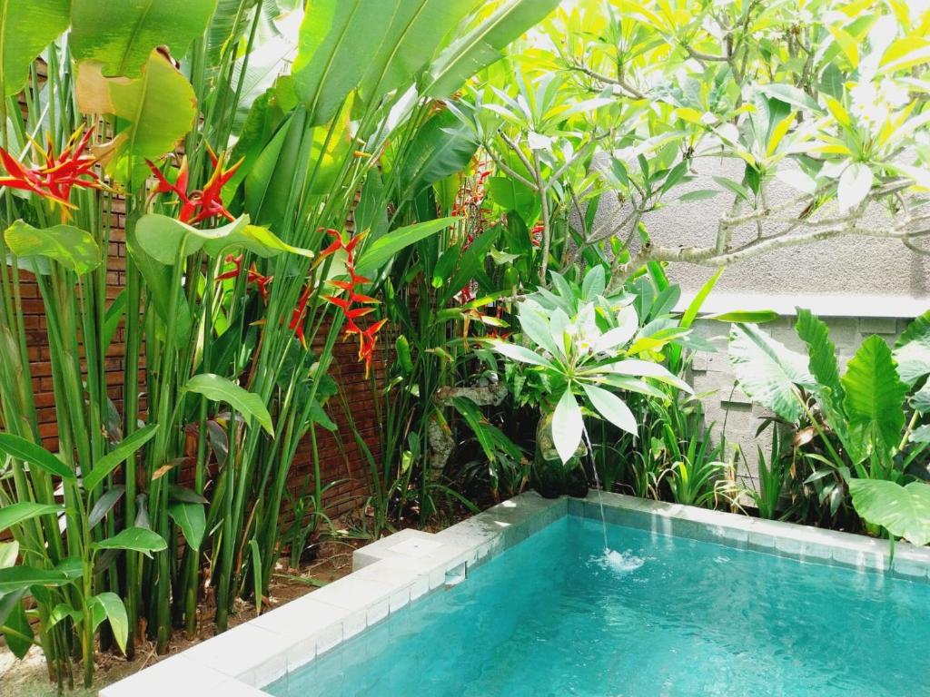 Coastal Escape Hideaway Private Villa in Jimbaran — image 11